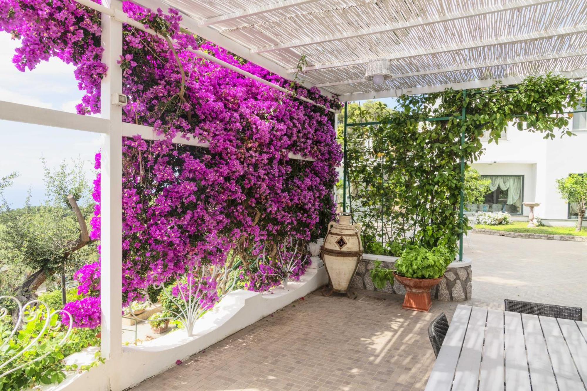 La Canostra Capri - Luxury Room Ad Anacapri Bagian luar foto